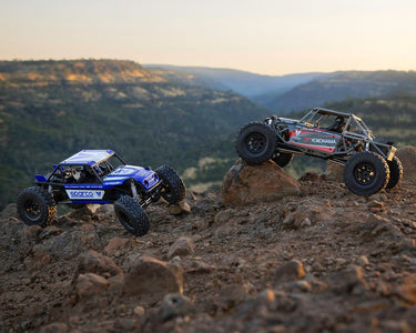 RCCS Waffle / Sticker Sale NIP Vanquish Products H10 Optic 1/10 4WD RTR Rock Crawler